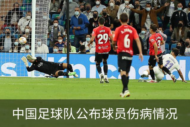 中国足球队公布球员伤病情况